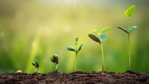 Let's Grow: How to Reach More Customers